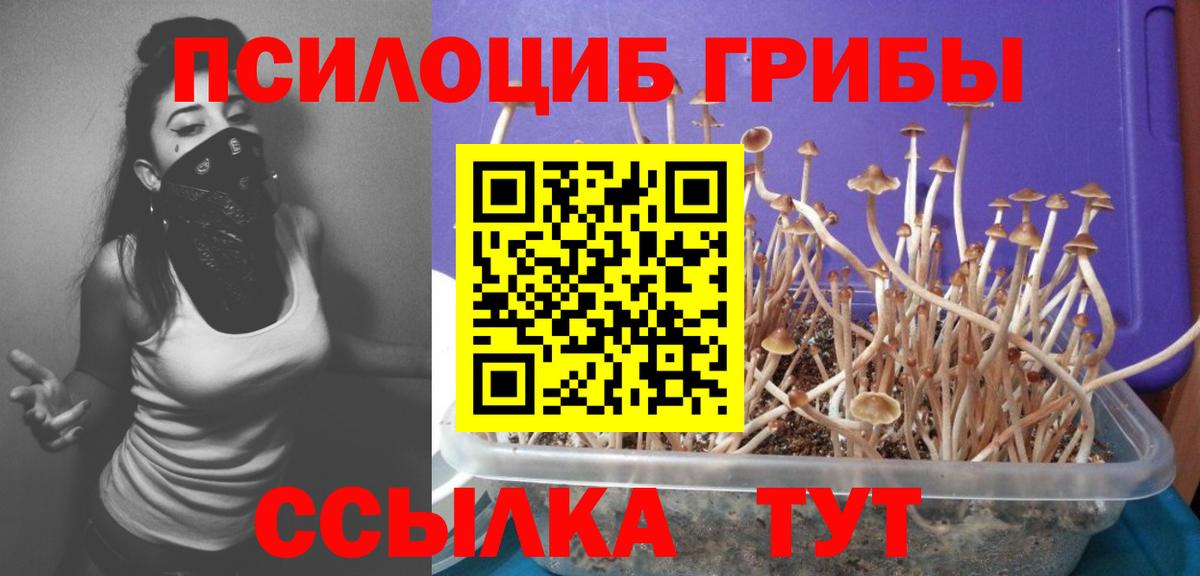 Пушкино  Псилоцибиновые грибы мухоморы  закладка  Вход с VPN 