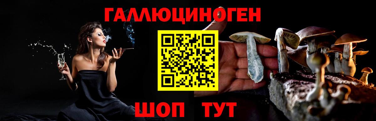 Псилоцибиновые грибы прущие грибы Пушкино